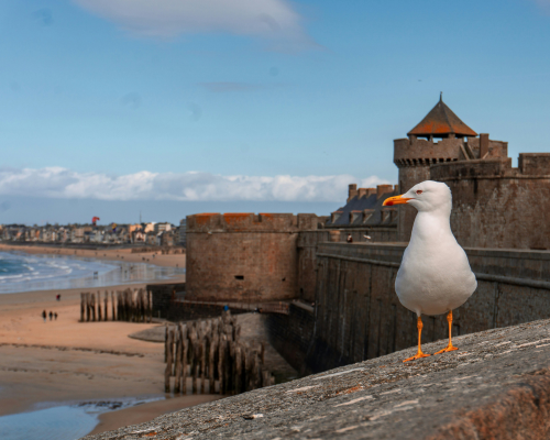 myfrenchtrip-saint-malo-mini